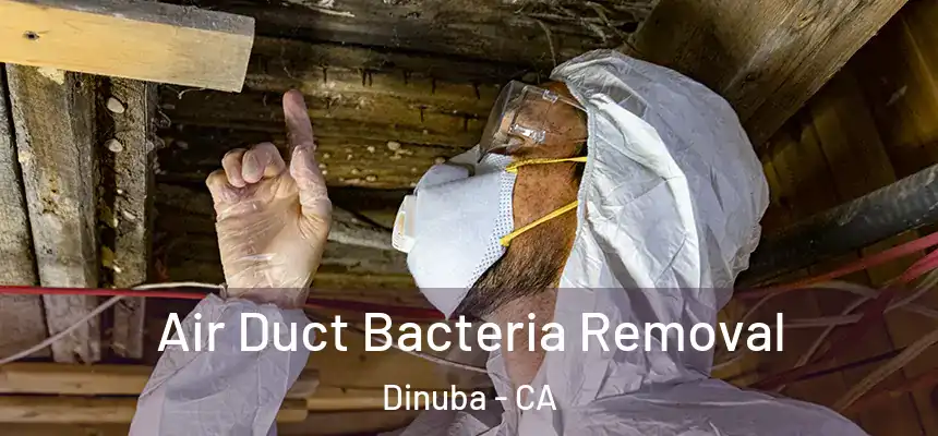  Air Duct Bacteria Removal Dinuba - CA
