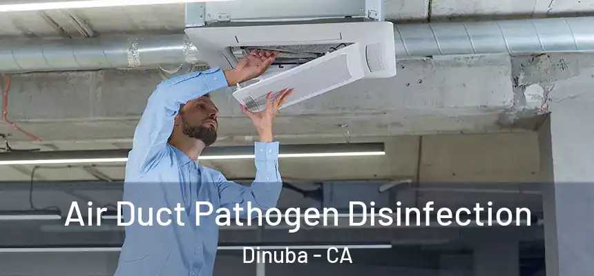  Air Duct Pathogen Disinfection Dinuba - CA