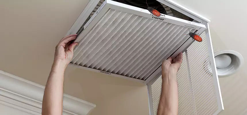 Preventive Cockroach-Proofing for Ducts in Dinuba