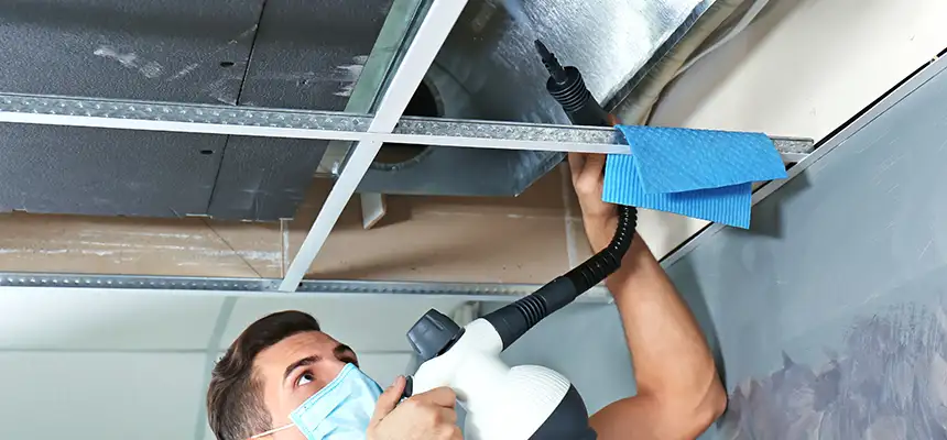 Our Air Duct Rodent Removal Services in Dinuba, CA