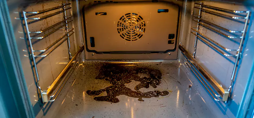 Our Dryer Vent Mold Cleaning Services in Dinuba, CA