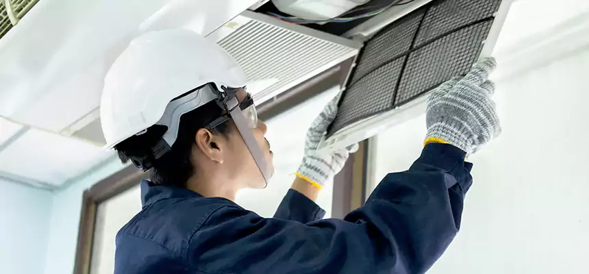 Our Mold & Mildew Removal from Air Ducts Services in Dinuba, CA