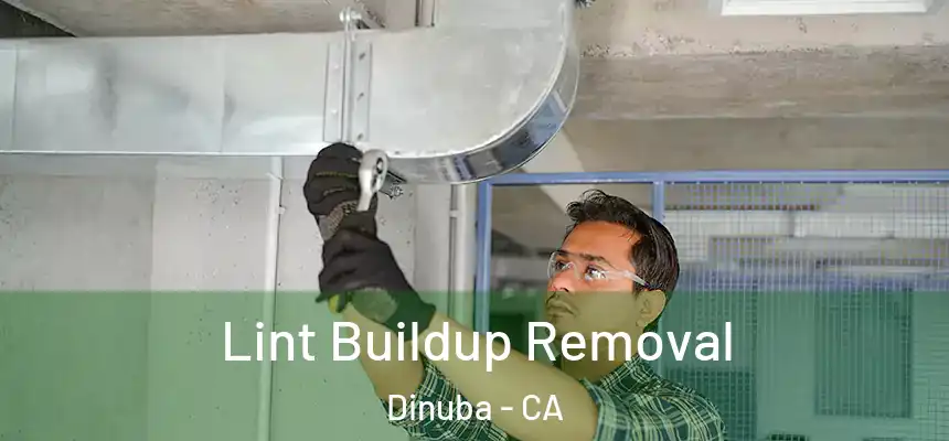  Lint Buildup Removal Dinuba - CA