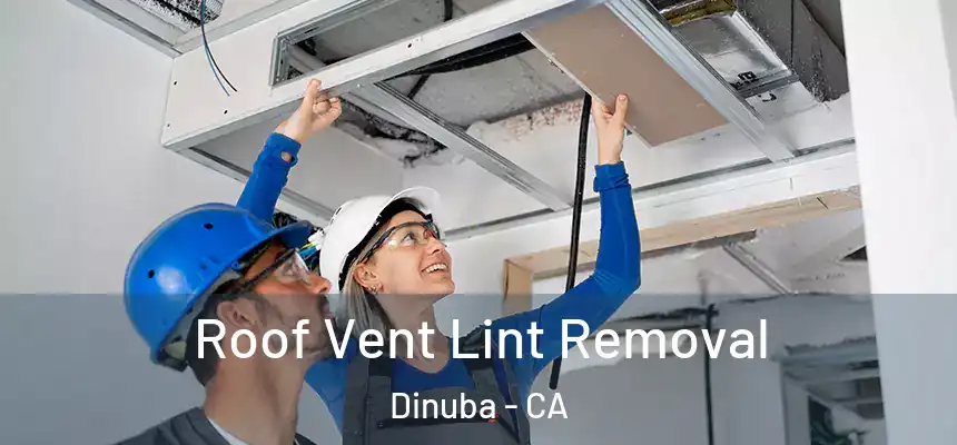 Roof Vent Lint Removal Dinuba - CA