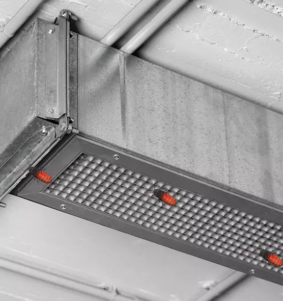 About Air Duct Cockroach Removal in Dinuba, CA