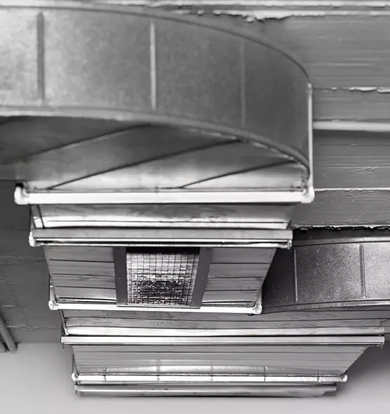 Professional Air Duct Pest Removal in Dinuba, CA