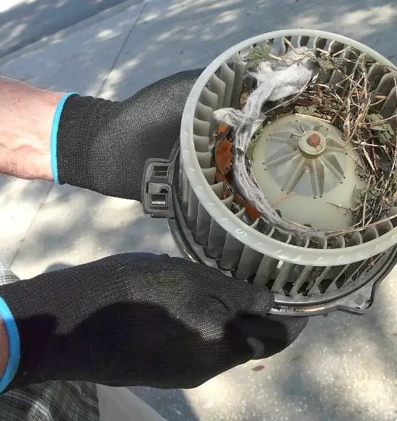 About Air Duct Rat Removal in Dinuba, CA