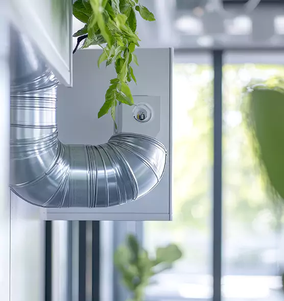 Professional Eco-Friendly Duct Cleaning Services in Dinuba, CA