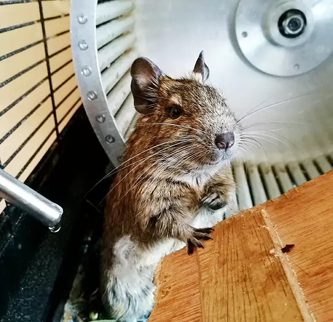 Why Homeowners & Businesses Trust Us Dinuba, CA?