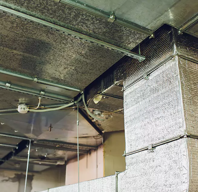 Why Homeowners & Businesses Trust Us in Dinuba, CA?